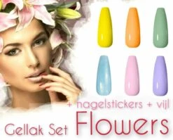 Braembles® - Gellak - Set - Flowers + Gratis -Nagelstickers- + -Nagelvijl- 6-delige - Gellak Starterspakket - Gel Nagellak - Pink Gellac - Gellac - Nagels - 10ML - UV-LEDlamp - Kerstcadeau - Kerst -